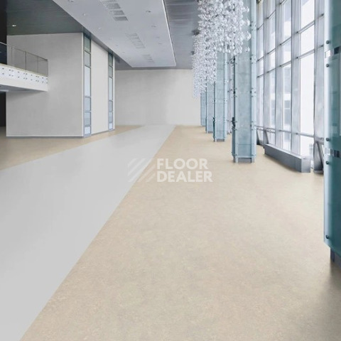 Forbo Marmoleum Marbled Real 3136 / 313635 Concrete фото 2 | FLOORDEALER