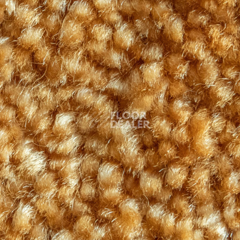 AW Masquerade Fedone / Федонэ 48 фото 2 | FLOORDEALER