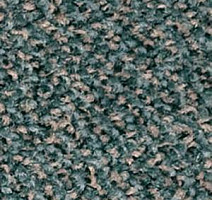 Ковролин Infloor Comfort 440 фото 1 | FLOORDEALER