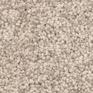 Ковролин AW Vivendi Vigour 39 фото 1 | FLOORDEALER