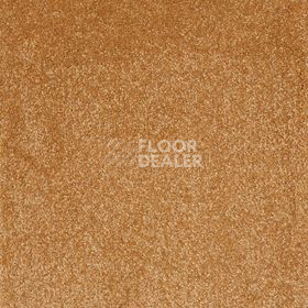 Ковролин AW Sonrisa 84 фото 1 | FLOORDEALER