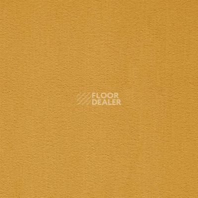 Ковролин Balta ITC President 53 фото 1 | FLOORDEALER