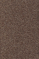 Ковролин AW Stainguard Harvest 40 фото 1 | FLOORDEALER