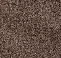 Ковролин AW Stainguard Harvest 40 фото 1 | FLOORDEALER