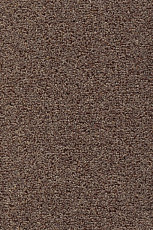 Ковролин AW Stainguard Harvest 40 фото 1 | FLOORDEALER