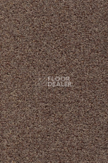 Ковролин AW Stainguard Harvest 40 фото 1 | FLOORDEALER