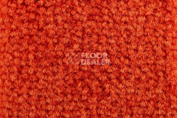 Balsan Les Best S 470 фото 2 | FLOORDEALER