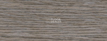 Плинтус Dollken EP 60/13 2575 фото 2 | FLOORDEALER