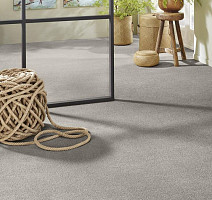 Vorwerk Superior 1065/Viola Vorwerk 5n65 фото 2 | FLOORDEALER