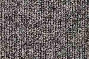 Ковролин Зартекс Daily 089 фото  | FLOORDEALER