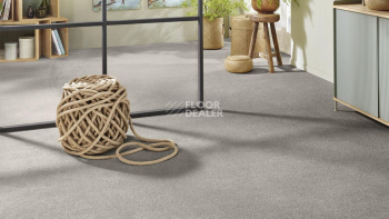 Vorwerk Superior 1065/Viola Vorwerk 5n65 фото 2 | FLOORDEALER
