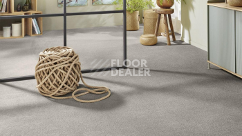 Vorwerk Superior 1065/Viola Vorwerk 5n65 фото 2 | FLOORDEALER