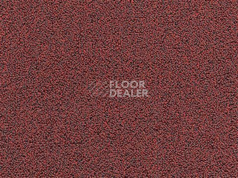 Ковролин e-firm 11 фото 1 | FLOORDEALER