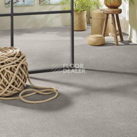 Vorwerk Superior 1065/Viola Vorwerk 5n65 фото 2 | FLOORDEALER
