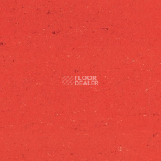 Линолеум Colorette 0118 Power Red фото 1 | FLOORDEALER