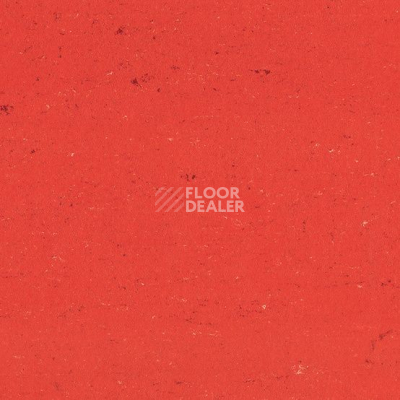 Линолеум Colorette 0118 Power Red фото 1 | FLOORDEALER