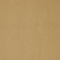 Ковролин Balta ITC President 37 фото 1 | FLOORDEALER