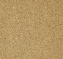 Ковролин Balta ITC President 37 фото 1 | FLOORDEALER