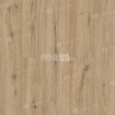 Кварцвиниловые полы Alpine Floor Solo Ларго ЕСО 14-6 фото 1 | FLOORDEALER