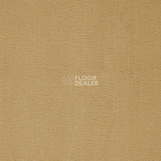 Ковролин Balta ITC President 37 фото 1 | FLOORDEALER