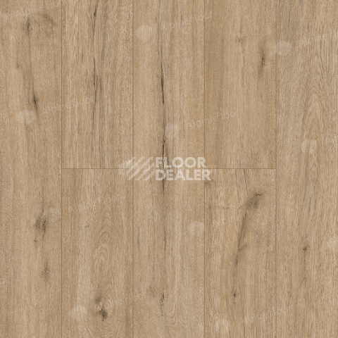Кварцвиниловые полы Alpine Floor Solo Ларго ЕСО 14-6 фото 1 | FLOORDEALER