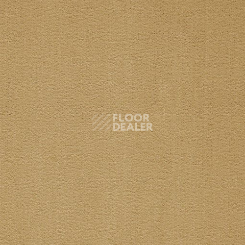 Ковролин Balta ITC President 37 фото 1 | FLOORDEALER