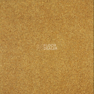 Линолеум Diamond Standart Evolution 4253-453 фото 1 | FLOORDEALER