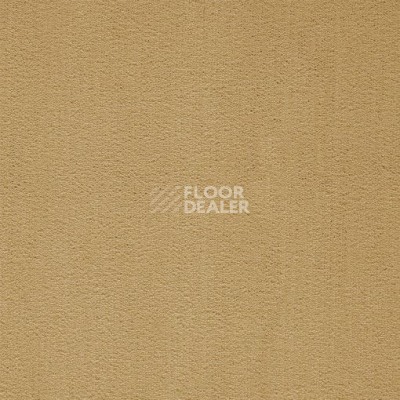 Ковролин Balta ITC President 37 фото 1 | FLOORDEALER