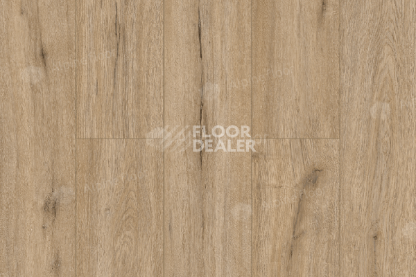 Виниловая плитка ПВХ Alpine Floor Solo Ларго ЕСО 14-6 фото 1 | FLOORDEALER