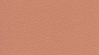 Линолеум Taraflex Surface Uni 6146_Coral фото 1 | FLOORDEALER