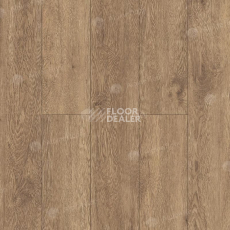 Кварцвиниловые полы Alpine Floor Grand Sequoia (1220x183) ГРАНД СЕКВОЙЯ ГЕВУИНА ECO 11-7 фото 1 | FLOORDEALER