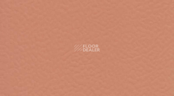 Линолеум Taraflex Surface Uni 6146_Coral фото 1 | FLOORDEALER