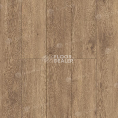 Кварцвиниловые полы Alpine Floor Grand Sequoia (1220x183) ГРАНД СЕКВОЙЯ ГЕВУИНА ECO 11-7 фото 1 | FLOORDEALER