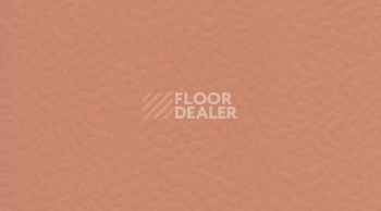 Линолеум Gerflor Taraflex Surface Uni 6146_Coral фото 1 | FLOORDEALER
