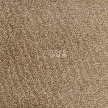 Ковролин Vorwerk Hermelin 5n31 фото 1 | FLOORDEALER