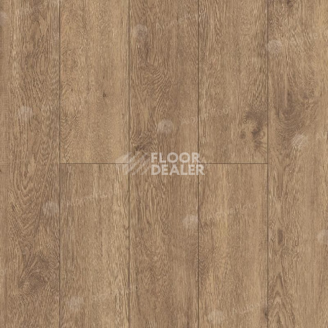 Alpine Floor Grand Sequoia (1220x183) ГРАНД СЕКВОЙЯ ГЕВУИНА ECO 11-7 фото 1 | FLOORDEALER