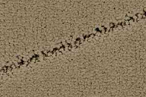 Ковролин Balsan Palace 630 фото  | FLOORDEALER