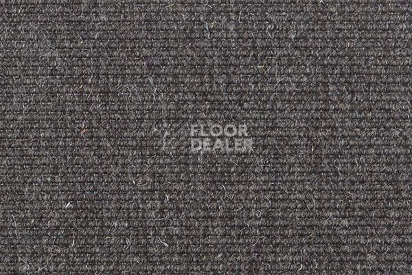 Ковролин Carpet Concept Goi 2 2610 фото 1 | FLOORDEALER