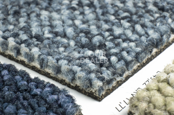 Desso Desert 8905 фото 4 | FLOORDEALER