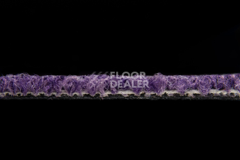 Balsan Season - Summer / Winter 870 фото 3 | FLOORDEALER