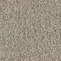 Ковровая плитка Balsan Bolero 730 фото 1 | FLOORDEALER