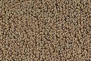 Ковролин Desso Alumina 2914 фото  | FLOORDEALER