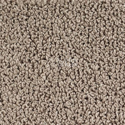 Ковролин Desso Alumina 9536 фото 1 | FLOORDEALER