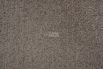 AW Daydream AW Daydream  97 фото 2 | FLOORDEALER