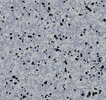 Линолеум Vertigo Barnett VBS3 15 фото 1 | FLOORDEALER