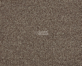 Ковролин Lano Valentine 270 Almond фото 1 | FLOORDEALER