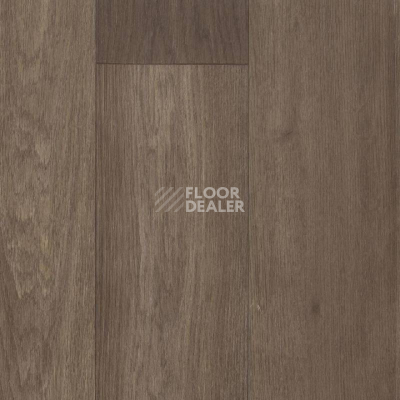 Линолеум Tarkett Galaxy Burgas 3 фото 1 | FLOORDEALER