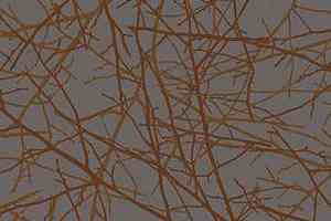 Ковролин Ege Highline Nature rf 5500614 фото  | FLOORDEALER