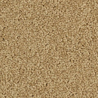 Balsan Serenite Sonic Confort 641 фото 1 | FLOORDEALER