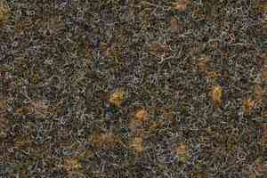 Ковролин Finett Vision Focus 405528 фото  | FLOORDEALER